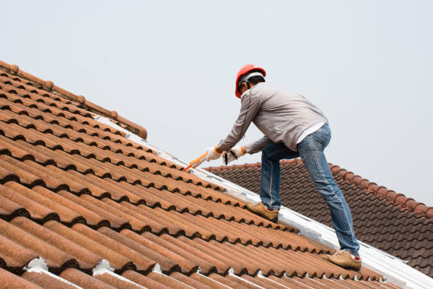Best Skylight Installation and Repair  in Bertville, AL