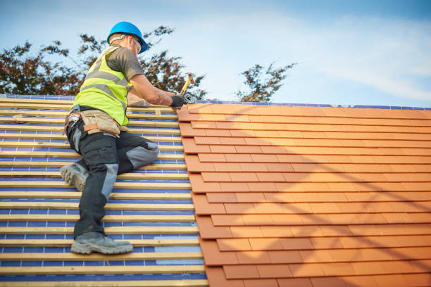 Best Metal Roofing Installation  in Bertville, AL
